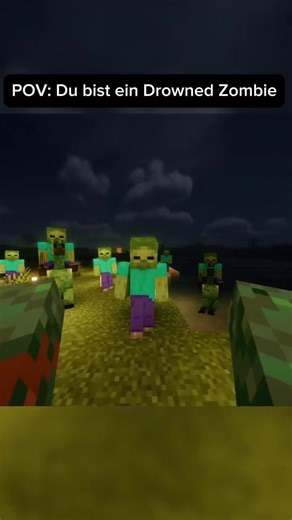 Minecraft 1.21.11 Live Stream on Survivalchunk