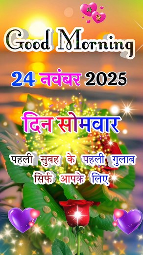 Good Morning🌄 24 नवंबर दिन सोमवार 🌹 कि पहला गुलाब आपके लिए ❤️ Love You Shayari 🌹 Good Morning 🌞 #good #moring #love #trending | Wishes Everyone