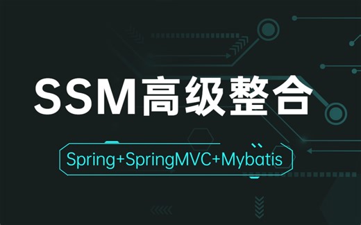 Java全套视频教程_Part13：SSM框架整合详解、项目实战精讲