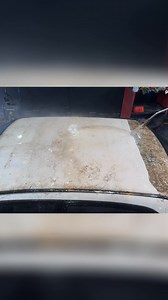 This car was a total mess! Moss, grime, and who-knows-what-else covered every inch. Watch as they power through the dirt and reveal the hidden beauty underneath. The body work is going to be expensive. #CarDetailing #AutoCleaning #PressureWashing #DirtyCar #CarRestoration | Vagnão Percepcar