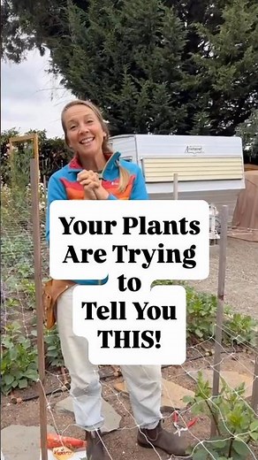Why Your Garden Plants Get Lanky + How to Get More Blooms All Season!