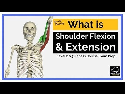 What is Shoulder Flexion and Extension