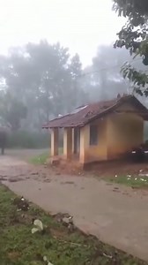 Wild elephant scared. #elephant#nagarahole#shorts#fyp#wildlife#wild#animal#animallife | Animal world