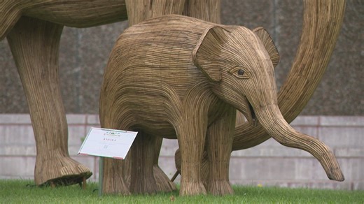 'The Great Elephant Migration' featuring 100 life-sized sculptures arrives in Houston