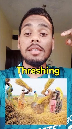 Farming Vocabulary in English | Winnowing, Threshing & More 🌾📝