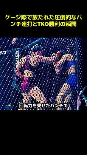 ケージ際で放たれた圧倒的なパンチ連打とTKO勝利の瞬間