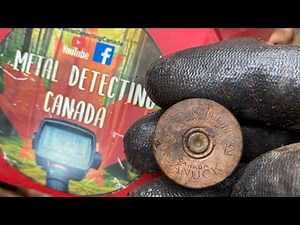 Metal Detecting Canada is live! Walk back from detecting