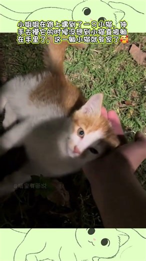 My Cat's Clever Homecoming! 😸 Cute PetGoals