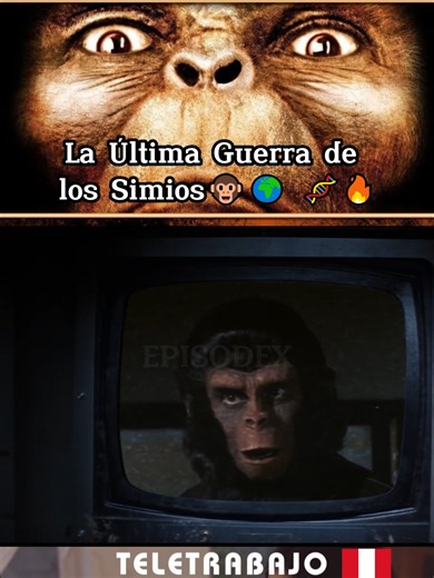 12 #EscapefromthePlanetoftheApes #elplanetadelossimios #planetoftheapes #planetadelossimios #plottwist #cine #1973 #final
