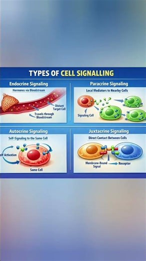 Types of cell signalling