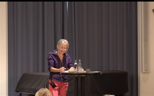 【德语无字】"Die Wand" von Marlen Haushofer. Besprechung