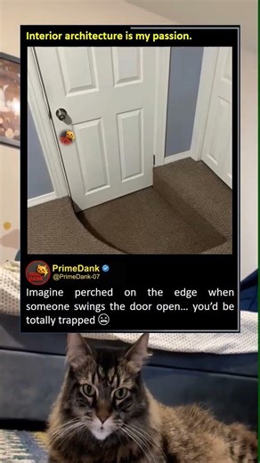 Architects really chose chaos today 💀 | funny memes | relatable American memes | primedank