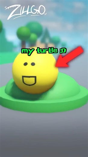 The Mystery of My Turtle 🐢