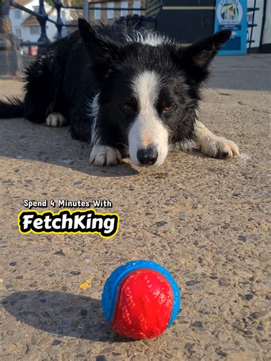 Spend 4 Minutes with the FetchKing