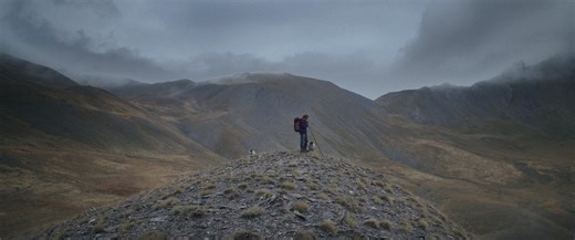 A Shepherd