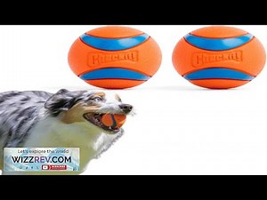 Chuckit! Ultra Ball Dog Toy Medium Bouncy Fetch Balls For Dogs