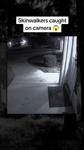 Proof skinwalkers are real? #scary #creepy #terrifying #spooky #sound #mystery #things #skinwalker #shape #possessed #transform #human #disguised #animal #normal #activity #terror
