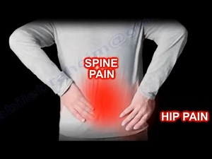 Treating and Diagnosing Low Back Pain • Video • MEDtube.net