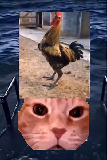 TikTokでk@tさんをチェック！