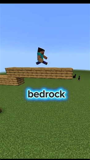 Bedrock vs Java bridge 💯⛏️📈
