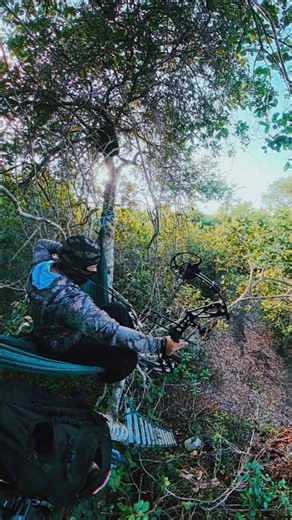 How animals are hunted in the jungle with digital bows and arrows. #wildlife #bowandarrow #hunting