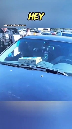 3.2K views · 14 reactions | Police Break Car Window After Thinking Woman Was Unconscious _ She Was Just Sleeping #dashcam | Dashcam Guardian | Facebook