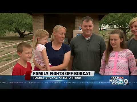 Family fights off bobcat