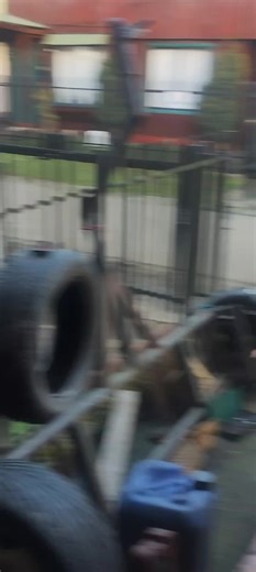 #fsrgarage #cat #manjar #batman #slippers