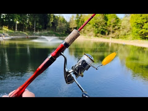 超強烈な引きのデカマスを狙え！釣れなかった噴水の池にリベンジ【エリアトラウト 奥利根フィッシングパーク 管理釣り場】