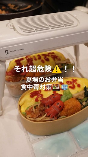 夏のお弁当の粗熱対策：お弁当用クールファンとラップクール活用法