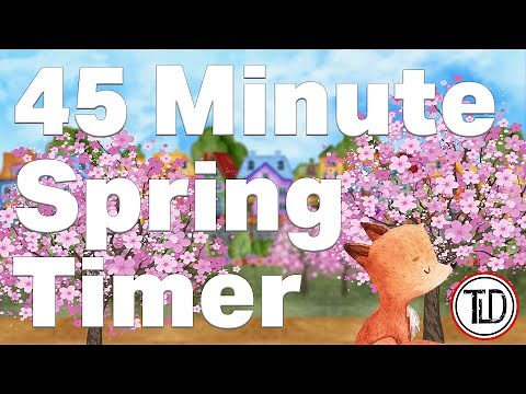 45 Minute Spring Timer (2022)