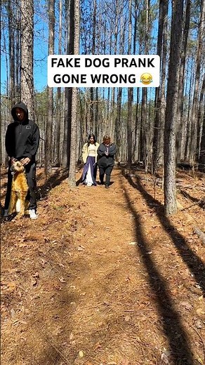 FAKE DOG PRANK 😂