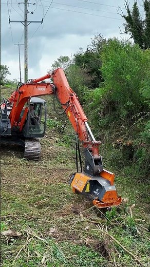 Stump to Sawdust in Seconds! 🌪️
