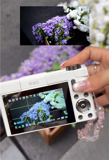 Explore the Best Affordable Digital Cameras for Vlogging