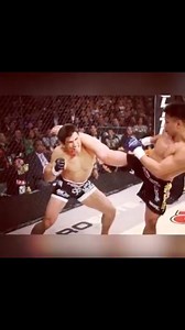 Cung Le vs Frank Shamrock highlights. #music #credit (TC) It’s going down CUNG LE SONG | Cung Le