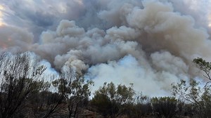 Undoolya Station reports losses as Northern Territory endures toughest bushfire season in a decade
