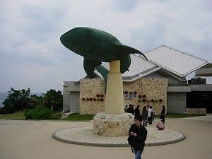 Okinawa Churaumi Aquarium - Alchetron, the free social encyclopedia