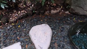 Natural clear spring water bubbling up from underground in the gardens of Meiji Jingu Shrine, peaceful and calming