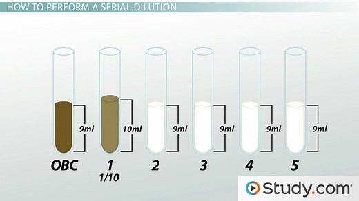 Serial Dilution | Definition, Purpose & Calculation