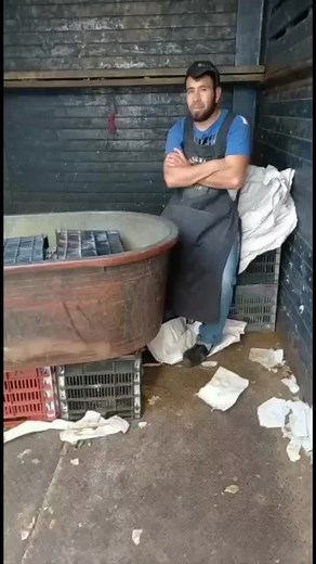 Videos de user48402572076 (@elsuperman8) con “sonido original - Fernando Camarillo”