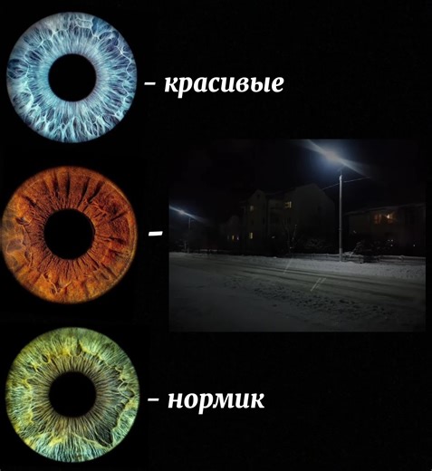 Understanding Brown Eye Color Genetics