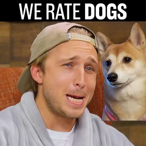 56K views · 1K reactions | Our fans send us pics of their dogs, so we decided to roast them. | Smosh | Facebook