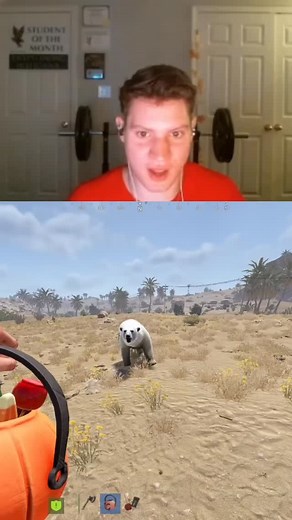 How many pieces of candy does it take for a polar bear in Rust #rust #rustpve #rustcandy #rustplays #rustclip | Twitch Vincentsmg