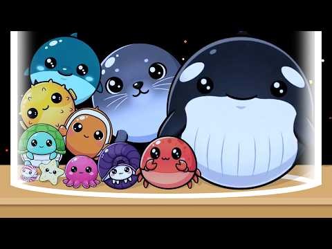 Umi Merge: Ocean Drop Puzzle - Watermelon Fish Game, Merge Whale, Merge Shark, Merge Puzzle!