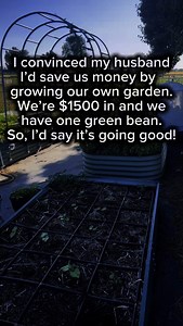 56K views · 39K reactions | I actually just canned 7 pints of green beans, I seriously love growing my own food, it’s so satisfying to say “I grew this” when it’s on the dinner table! #gardening #garden #raisedbed #raisedbedgardening #vegogarden #homesteader #inthegardentoday #inthegarden #greenthumb #gardeningismytherapy #scrunchymama #organicgardening #farmtofork #gardentofork #gardentotable | High Hope Homestead | Facebook