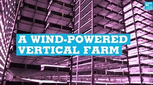 A wind-powered vertical farm: Giant urban farm opens in Denmark