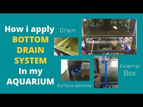 Bottom drain system for aquarium plus surface skimmer