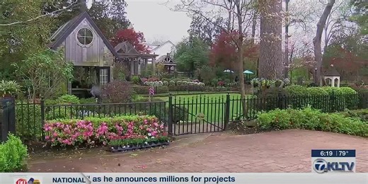 65th annual Tyler Azalea and Spring Flower Trail kicks off March 22