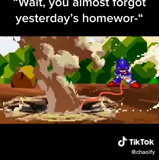 metallix going crazy #fyp #foryou #GetCrackin #sonic #sonicthehedgehog #supermariobrosz #metallix #meme @aerock69