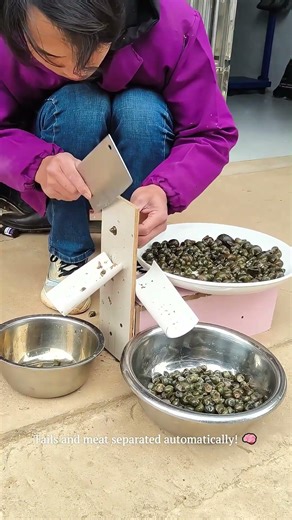 DIY Gadget Snaps Snail Tails 🔪The Smartest "Automatic Separator" Invention! #foodhacks #smartwork